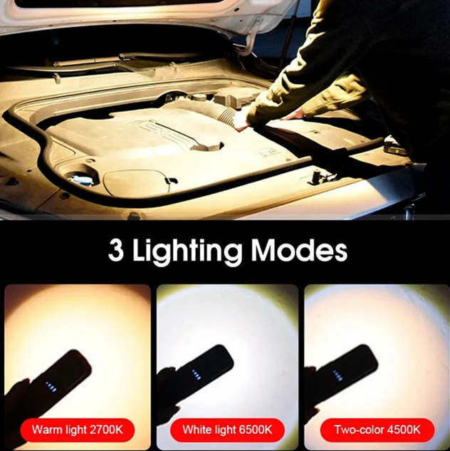 INSPECTION LIGHT